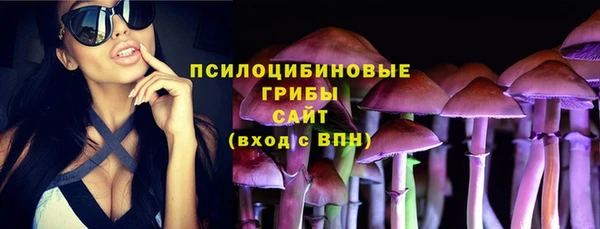 твердый Богородск