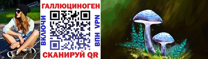 Купить закладки  Мещовск  Псилоцибиновые грибы GOLDEN TEACHER 